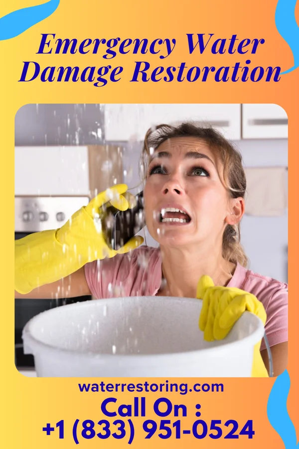 Emergency Water Damage Restoration in Redwood, TX