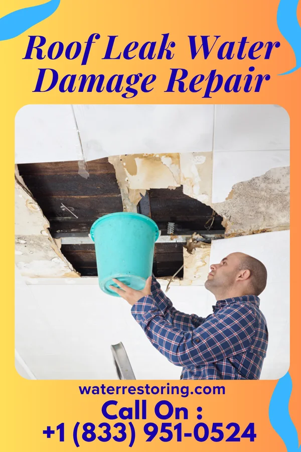 Roof Leak Water Damage Repair in Redwood, TX
